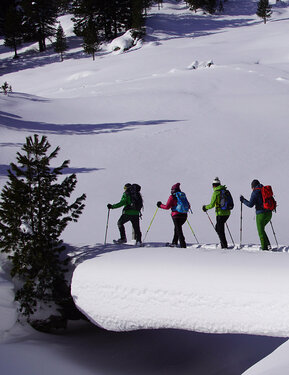 Snowshoe hiking in Hochkrimml Snowshoe hiking in Hochkrimml