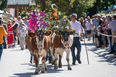 Almabtriebsfest in Krimml
