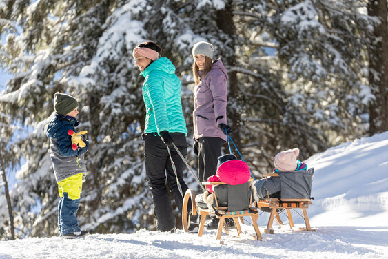 Almpromenade Gerlosstein